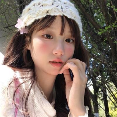 案中案